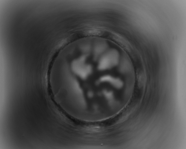 X0000092250729200709211101
