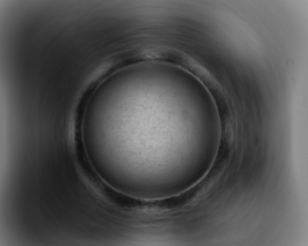 X0000092250730200709211101