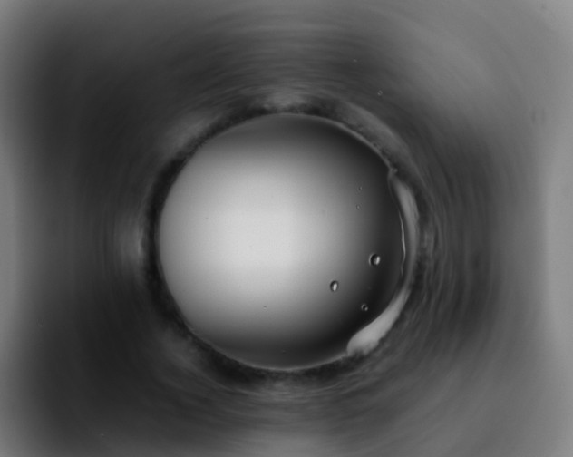 X0000092250732200709211101