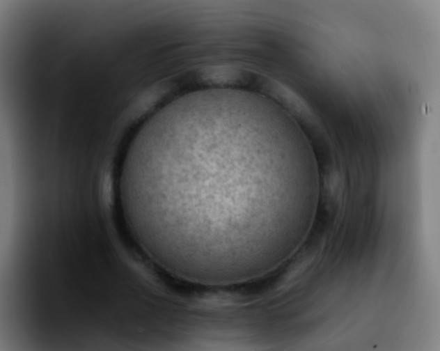 X0000092250734200709211101