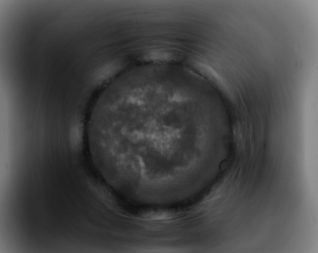 X0000092250735200709211101
