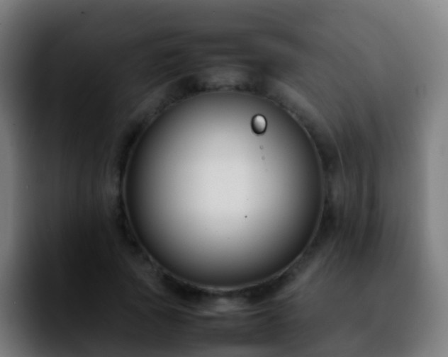 X0000092250737200709211101