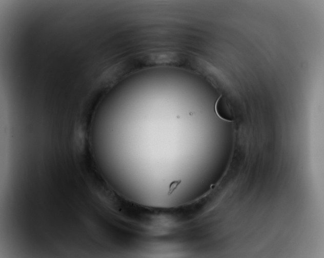 X0000092250741200709211101