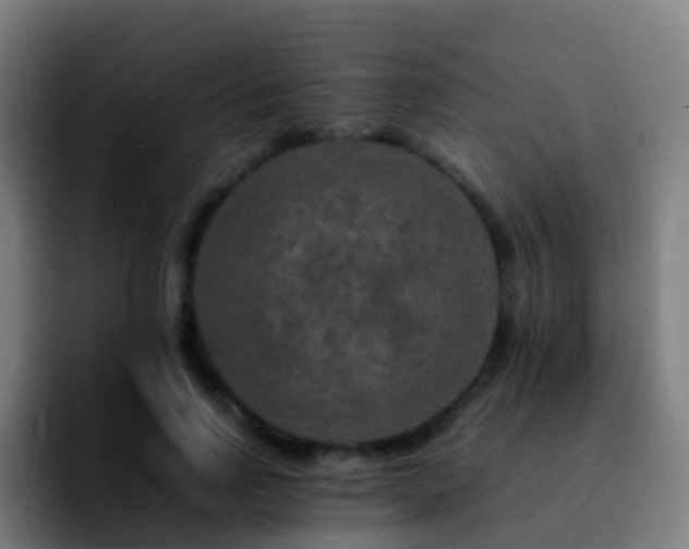 X0000092250742200709211101