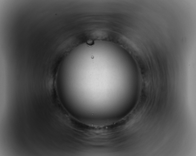X0000092250745200709211101