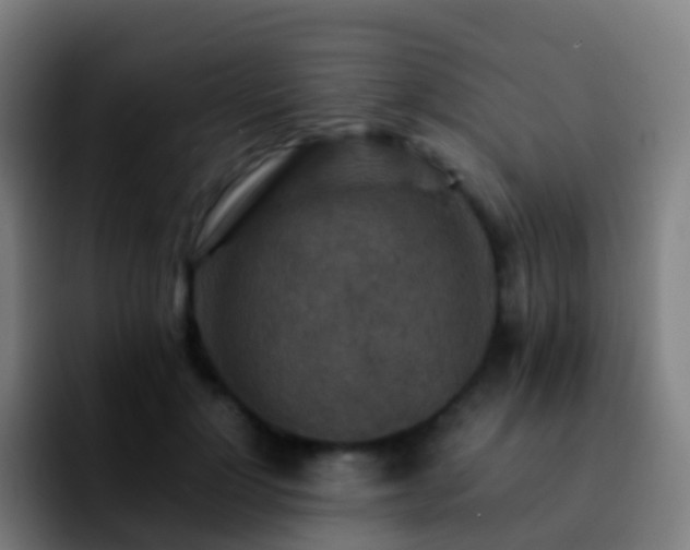 X0000092250748200709211101