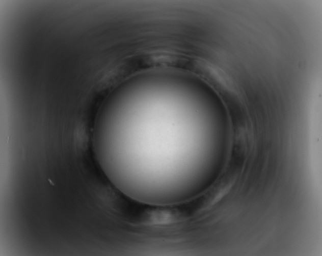 X0000092250751200709211101