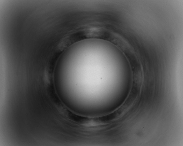 X0000092250755200709211101