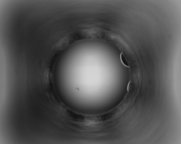 X0000092250757200709211101