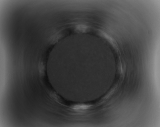 X0000092250759200709211101