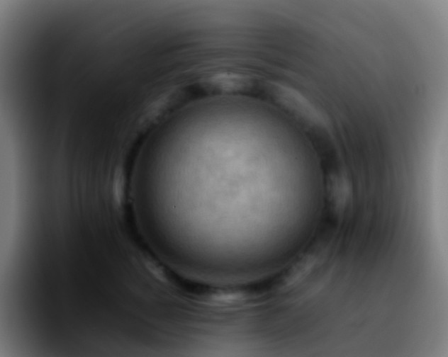X0000092250760200709211101