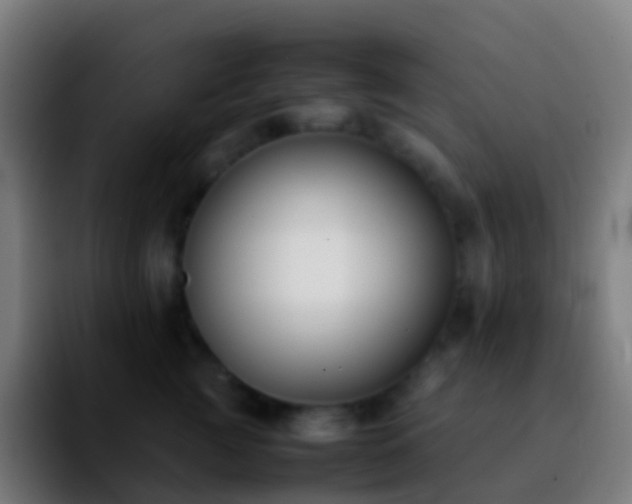 X0000092250761200709211101