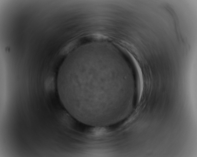 X0000092250762200709211101