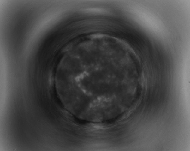 X0000092250763200709211101