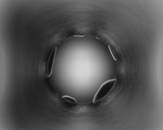X0000092250764200709211101