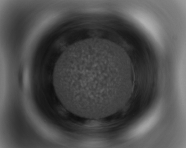 X0000092250765200709211101