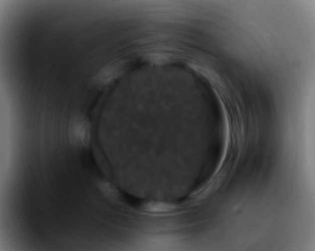 X0000092250766200709211101