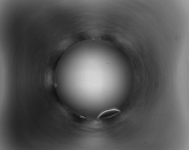 X0000092250768200709211101