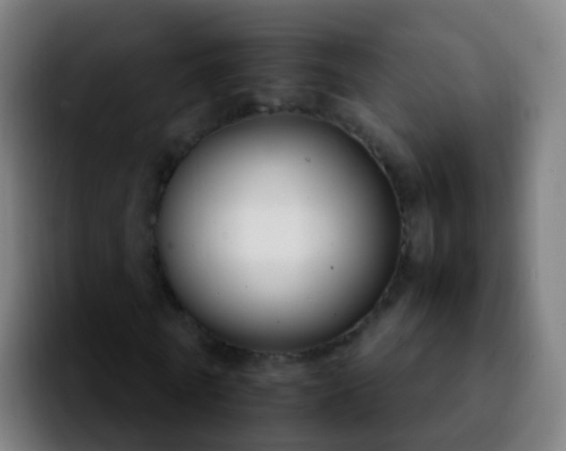 X0000092250770200709211101