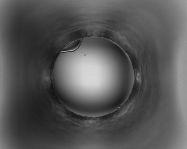 X0000092250771200709211101