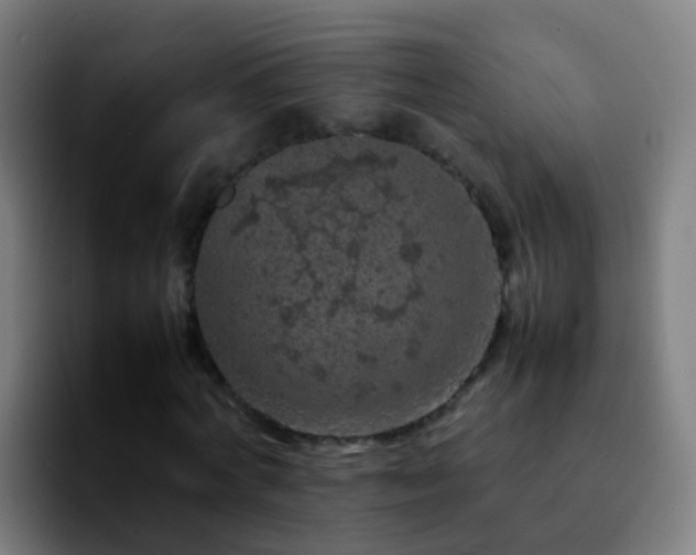 X0000092250772200709211101