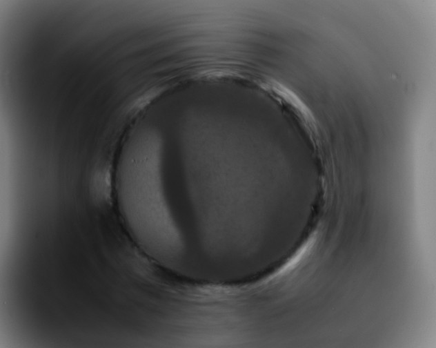 X0000092250777200709211100