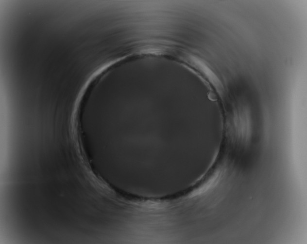 X0000092250779200709211100