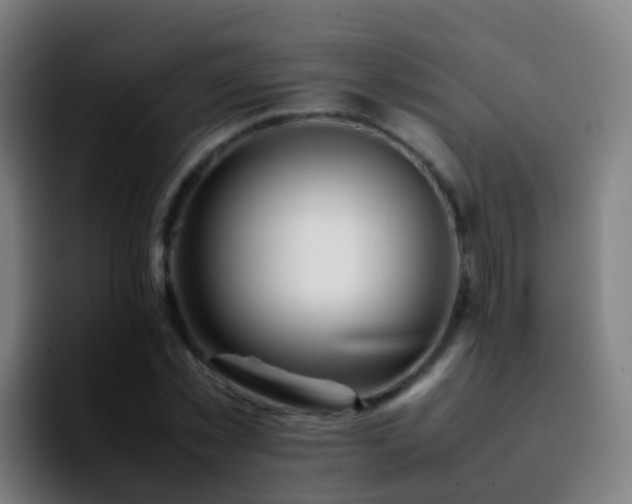 X0000092250781200709211100