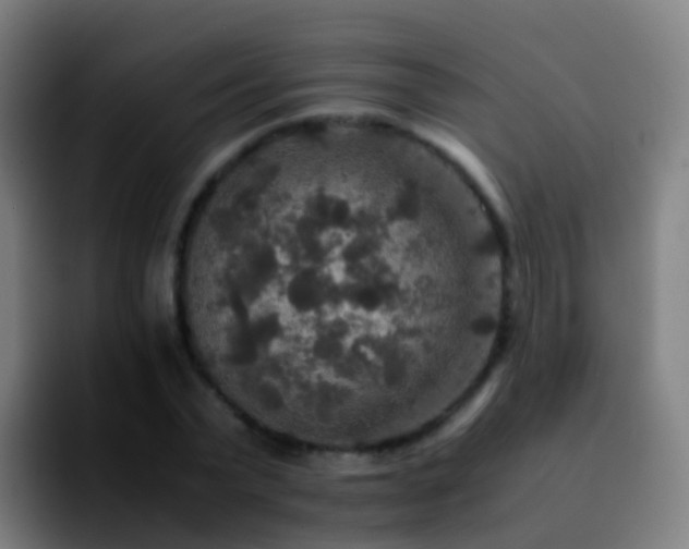 X0000092250783200709211100