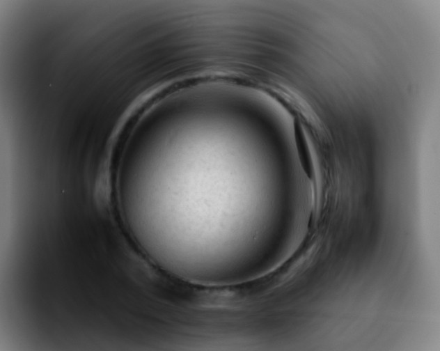 X0000092250784200709211100