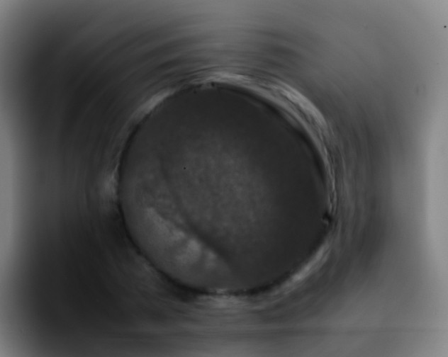 X0000092250785200709211100