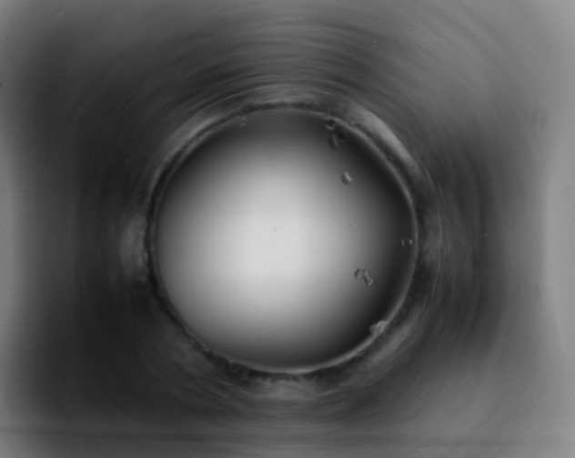 X0000092250786200709211100