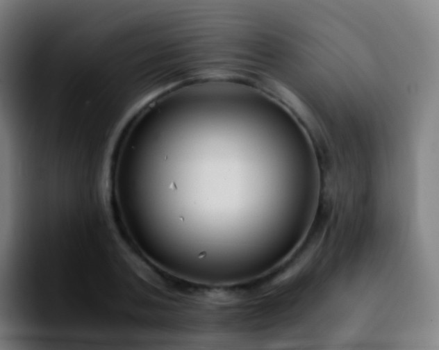 X0000092250787200709211100