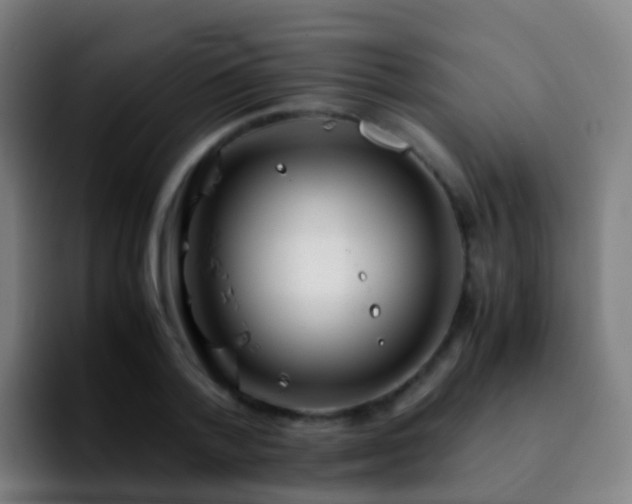 X0000092250788200709211100