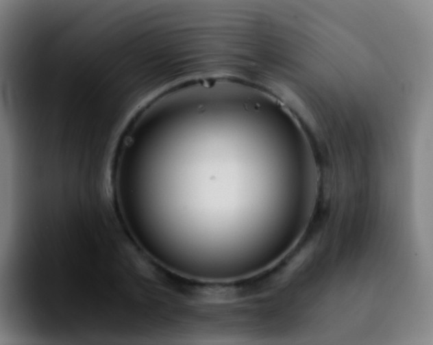 X0000092250789200709211100