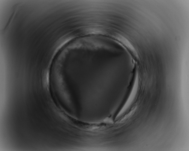 X0000092250790200709211100