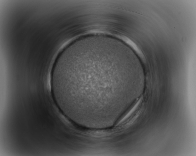 X0000092250791200709211100