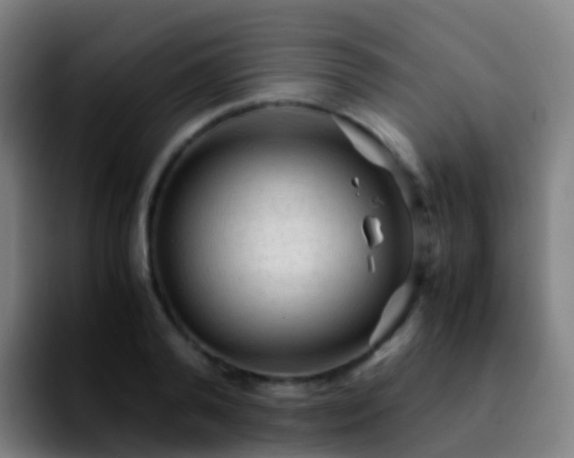 X0000092250792200709211100