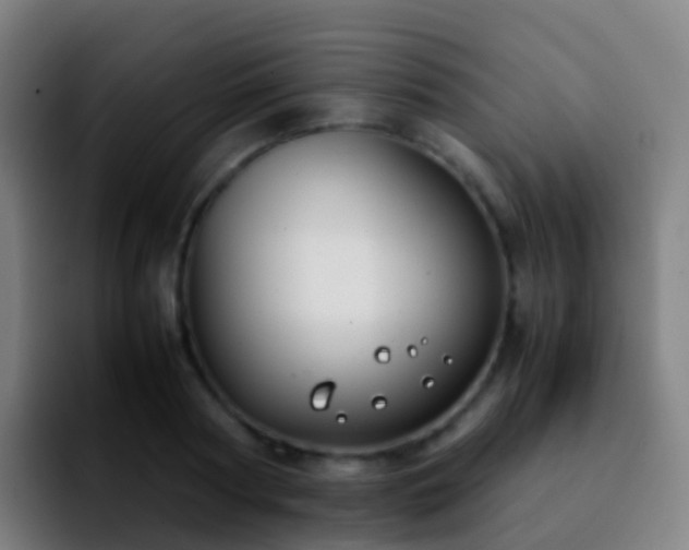 X0000092250794200709211100