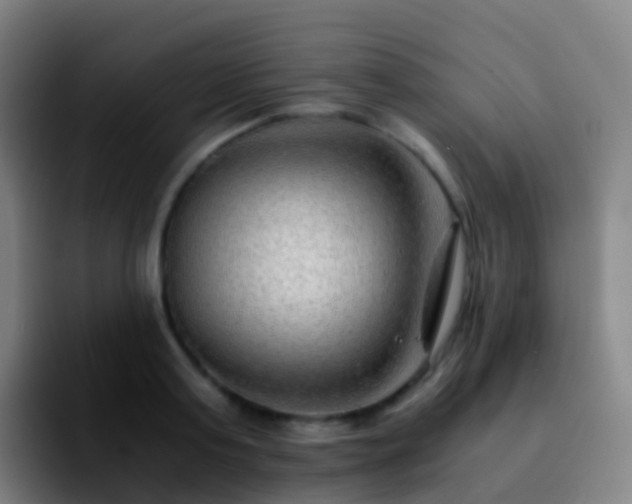 X0000092250795200709211100