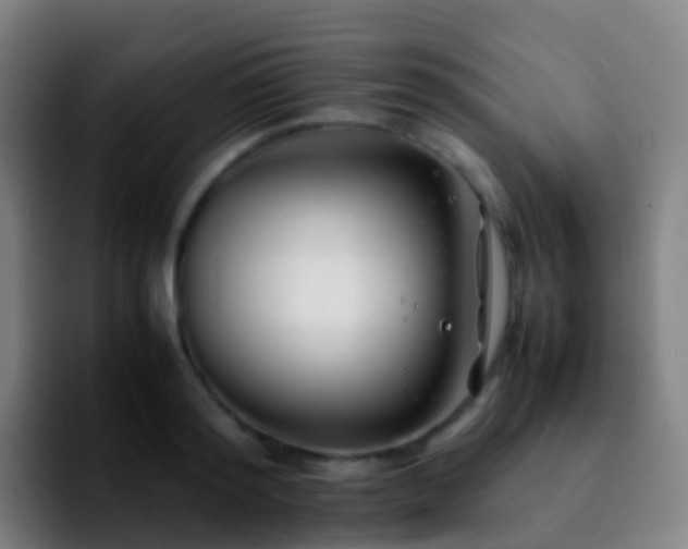X0000092250796200709211100