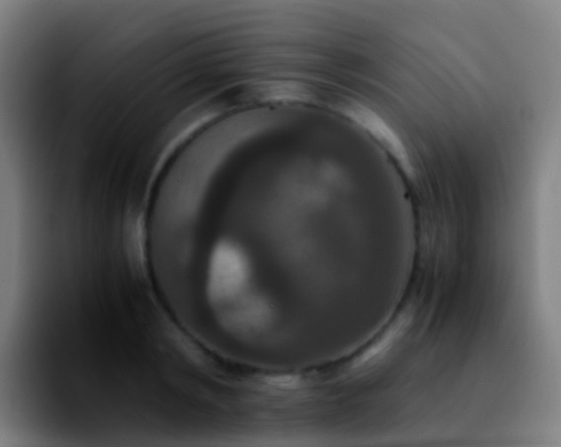 X0000092250798200709211100