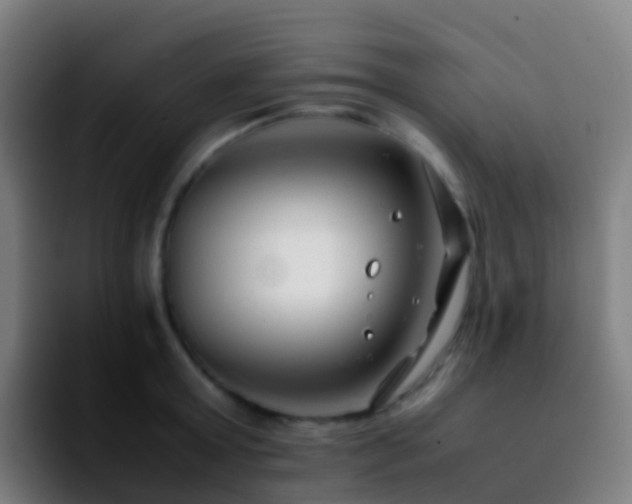 X0000092250803200709211100