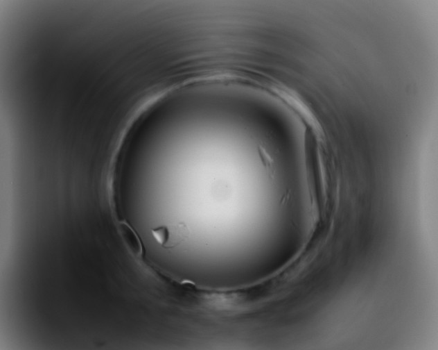 X0000092250805200709211100