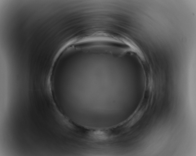X0000092250806200709211100