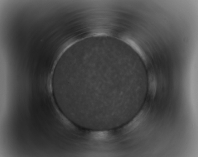 X0000092250810200709211100
