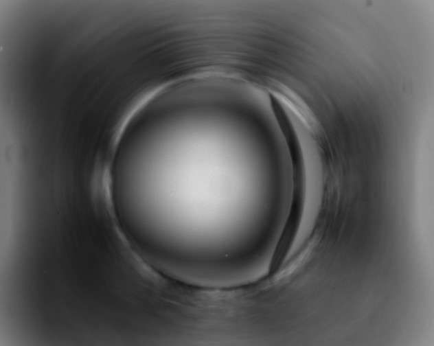 X0000092250812200709211100