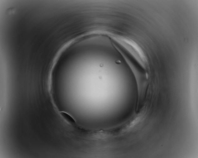 X0000092250815200709211100