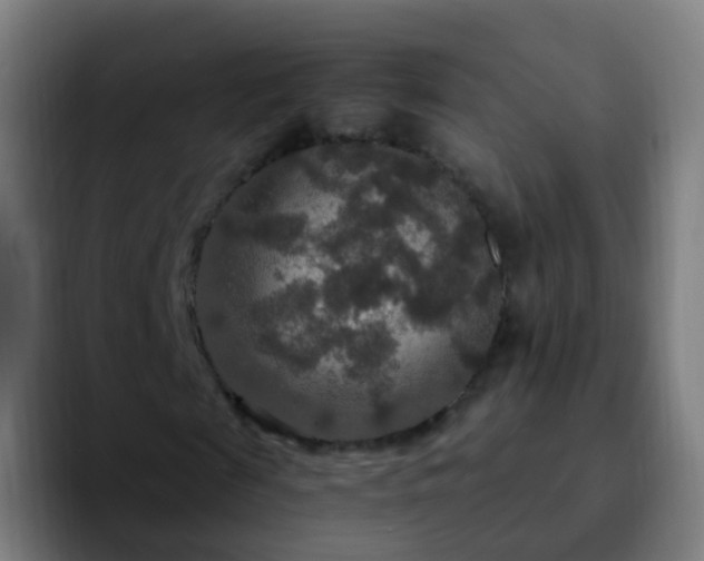 X0000092250817200709211059