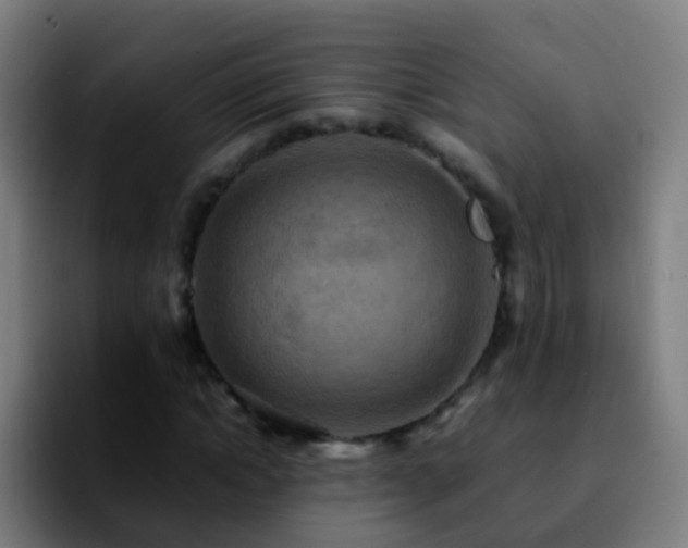 X0000092250822200709211100
